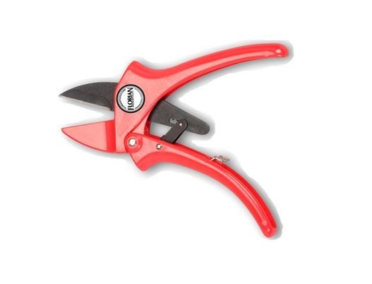 Florian Ratcheting Pruner